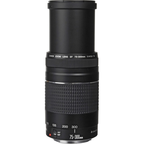 BRAND NEW Cannon DSLR Lens 75-300mm III - Picture 6 of 16